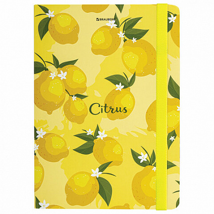 Блокнот с резинкой без линовки 96 л., А5 (145х203 мм), твердая обложка, BRAUBERG, "Lemons", 113727