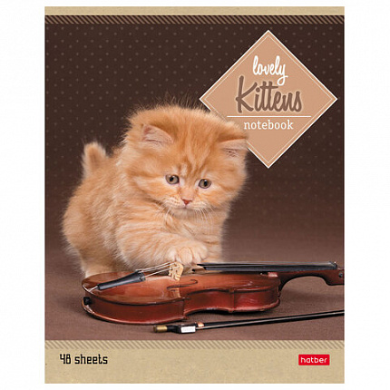 Тетрадь А5, 48 л., HATBER, скоба, линия, обложка картон, "КОТЯТА" (микс в спайке), 047012, 48Т5В2