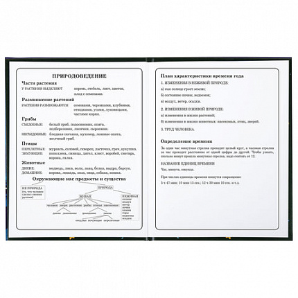 Дневник 1-4 класс 48 л., твердый, BRAUBERG, глянцевая ламинация, с подсказом, "CATS & DUCK", 106831