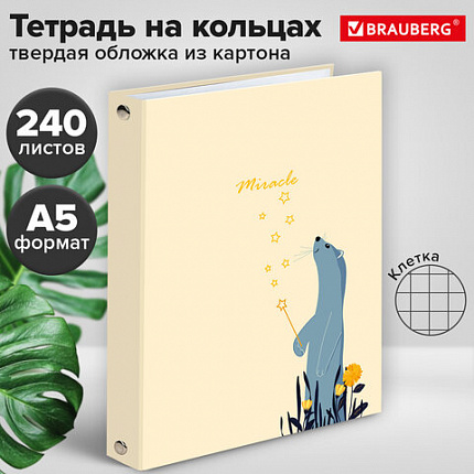 Тетрадь на кольцах А5 (175х215 мм), 240 листов, твердый картон, клетка, BRAUBERG, Miracle, 404093