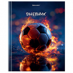 Дневник 1-4 класс 48 л., твердый, BRAUBERG, глянцевая ламинация, с подсказом, "МИКС", 107587