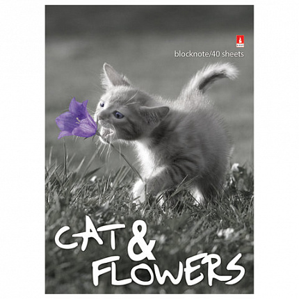 Блокнот А6, 40 л., гребень, ламинированный картон, клетка, Альт, "Котята", (5 видов), 3-40-028