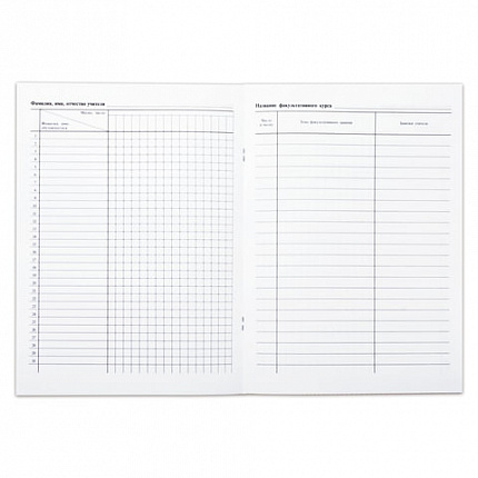 Книга "Журнал факультативных занятий", 24 листа, А4, 205х282 мм, обложка мелованный картон, блок офсет, 15855