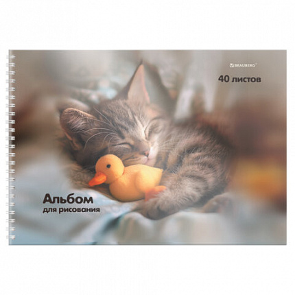 Альбом для рисования, пластиковая обложка, А4 40л., гребень, BRAUBERG, 210х297мм, АССОРТИ-1 (8 видов), 107682