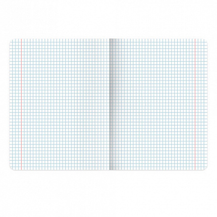 Тетради предметные, КОМПЛЕКТ 12 ПРЕДМЕТОВ, "КОТ-ЭНТУЗИАСТ", 48 л., TWIN-лак, BRAUBERG, 404609