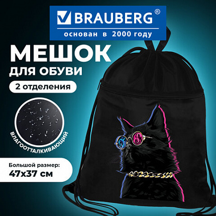 Мешок для обуви BRAUBERG, с петлёй, карман на молнии, 47х37 см, "Movie time", 270910