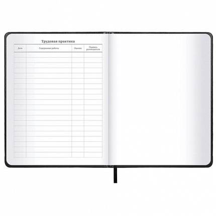 Дневник 1-11 класс 48 л., кожзам (твердая с поролоном), нашивка, BRAUBERG IGUANA, черный, 107225