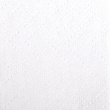 Полотенца бумажные 200 шт., LAIMA (H2) ADVANCED, 2-слойные, белые, КОМПЛЕКТ 21 пачка, 22,5х21,3, Z-сложение, 111337