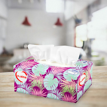 Салфетки косметические 200 шт. в картонном боксе 2-слойные, LAIMA "Everyday", 20х20 см, 113589