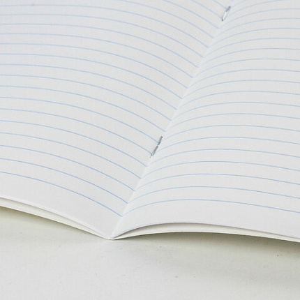 Тетрадь 18 л. ЮНЛАНДИЯ линия, обложка картон, STREET STYLE, 107303