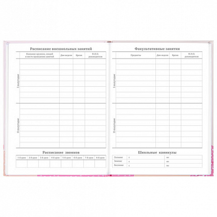 Дневник 5-11 класс 48 л., твердый, BRAUBERG, глянцевая ламинация, с подсказом, "Летний", 106631