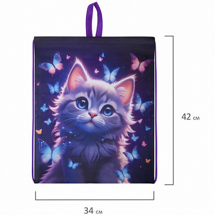 Мешок для обуви BRAUBERG KIDS, с петлей, 42х34 см, "Curious cat", 273434