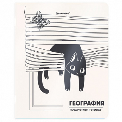 Тетради предметные, КОМПЛЕКТ 12 ПРЕДМЕТОВ 48 л., пластиковая обложка, BRAUBERG "КОТ-НЕПОСЕДА", 405542