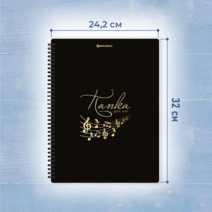 Папка тетрадь для нот А4, 20 вкладышей на 40 страниц, на гребне, пластик, ЧЕРНАЯ, BRAUBERG, 404643