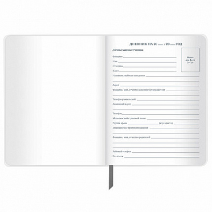 Дневник 1-11 класс 48 л., кожзам (твердая с поролоном), тиснение, аппликация, BRAUBERG, "Extreme", 106569