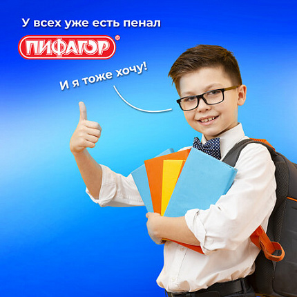 Пенал ПИФАГОР, 1 отделение, 2 откидные планки, полиэстер, 20х14 см, "T-Rex Life", 271513