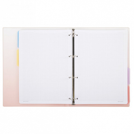 Тетрадь на кольцах БОЛЬШАЯ 305х235 мм А4, 120 л., пластик, с разделителями, BRAUBERG, Красный, 404626