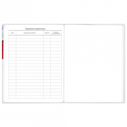 Дневник 5-11 класс 48 л., твердый, BRAUBERG, глянцевая ламинация, с подсказом, "Символика 2", 106067