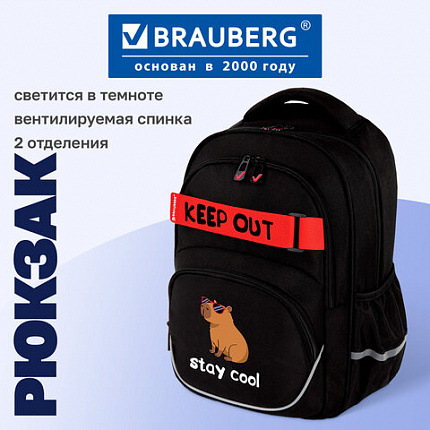 Рюкзак BRAUBERG MOTION, 2 отделения, 3 кармана, "Капибара", СВЕТЯЩИЙСЯ, 41х28х17 см, 272032