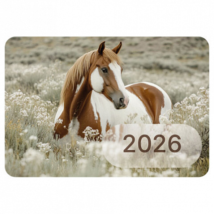 Календарь карманный на 2026 г, BRAUBERG, 64х93 мм, АССОРТИ №1, 20 видов, 117303