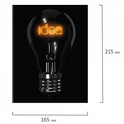 Тетрадь на кольцах А5 (165х215 мм), 160 листов, твердый картон, клетка, BRAUBERG, Idea, 404091