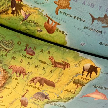 Глобус интерактивный + очки VR, зоогеографический, GLOBEN, 25см, с подсветкой, INT12500306