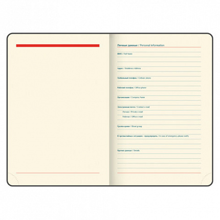 Ежедневник датированный 2026 А5 148х218 мм, GALANT "Infinity Silver", под кожу, серый, 117499