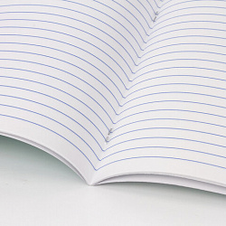 Тетрадь 18 л. BRAUBERG "ЭКО", линия, обложка картон 170 г/м2, ЗЕЛЕНАЯ ПАСТЕЛЬНАЯ, 105677