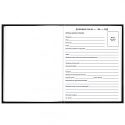 Дневник 1-11 класс 40 л., твердый, BRAUBERG, матовая ламинация, "Футбол", 107173