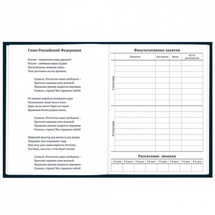 Дневник 1-11 класс 40 л., твердый, BRAUBERG, матовая ламинация, "Dragon", 107178