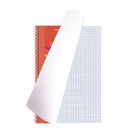 Тетрадь А4, 120 л., BRAUBERG гребень, клетка, обложка картон, "Vision", 404070