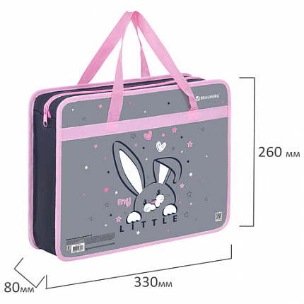 Папка на молнии с ручками BRAUBERG А4, 1 отделение, пластик, 80 мм, "Curious bunny", 272164