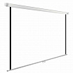 Экран Cactus WallExpert CS-PSWE-200x200-WT, 200x200 см, 1:1, настенно-потолочный, белый