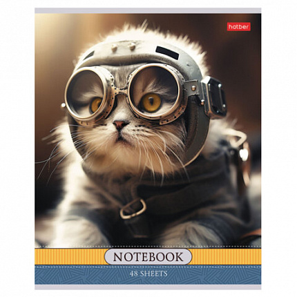 Тетрадь А5 48 л., HATBER скоба, клетка, обложка картон, "Котики-артисты" (микс в спайке), 085664, 48Т5В1