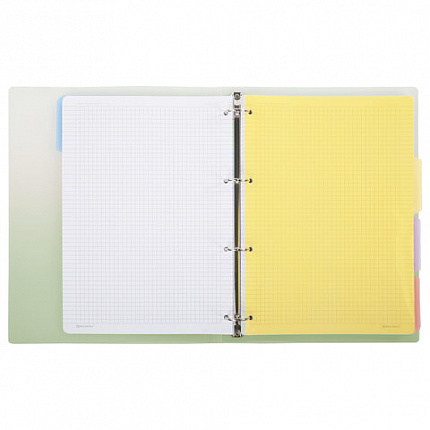 Тетрадь на кольцах БОЛЬШАЯ 305х230мм А4, 120л, пластик, с разделителями, BRAUBERG, Зеленый, 404625