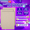 Картон переплетный, толщина 3 мм, А3 (297х420 мм), КОМПЛЕКТ 5 шт., BRAUBERG ART, 114212