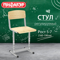 Стул ученический регулируемый ПИФАГОР SC-3, 380х380х750-830 мм, рост 5-7 / 4-6 (160-190 см), серый каркас, фанера, 533350