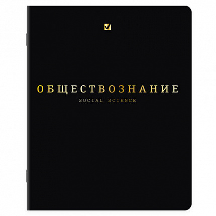 Тетради предметные, КОМПЛЕКТ 12 ПРЕДМЕТОВ, 48 л., Soft-Touch, 3D-фольга, BRAUBERG, "BLACK GOLD", 405602