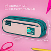 Пенал-футляр BRAUBERG, 2 отделения, 3D-элемент, полиэстер, "Fun dino", 23х8х5 см, 273572