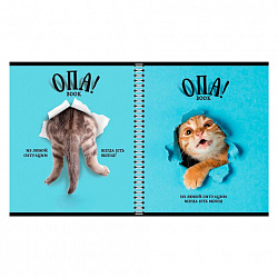 Тетрадь А5 96 л. ПЗБМ, гребень, клетка/линия, выборочный лак, перевёртыш, "Опа!" (5 видов), 028558