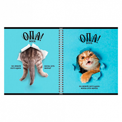 Тетрадь А5 96 л. ПЗБМ, гребень, клетка/линия, выборочный лак, перевёртыш, "Опа!" (5 видов), 028558