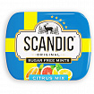 Драже освежающие SCANDIC без сахара со вкусом "Цитрусовый микс", 14 г, 4603738769889