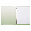 Тетрадь на кольцах БОЛЬШАЯ 305х235 мм А4, 120 л., пластик, с разделителями, BRAUBERG, Зеленый, 404625