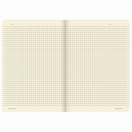 Тетрадь 40 л. в клетку обложка SoftTouch, фольга, бежевая бум. 70 г/м2, сшивка, А5 (147х210 мм), FAIRY TALE, BRAUBERG, 403788