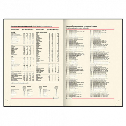 Ежедневник недатированный А5 138х213 мм BRAUBERG "FLAME", под кожу, 160 л., черный, серебряный срез, 113425
