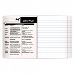 Тетрадь предметная КОТ-НЕПОСЕДА 48 л., пластиковая обложка, ЛИТЕРАТУРА, линия, подсказ, BRAUBERG, 405535