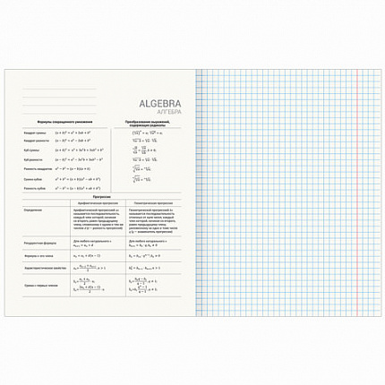 Тетради предметные, КОМПЛЕКТ 12 ПРЕДМЕТОВ, "SHADE", 48 л., глянцевый УФ-лак, BRAUBERG, 404324