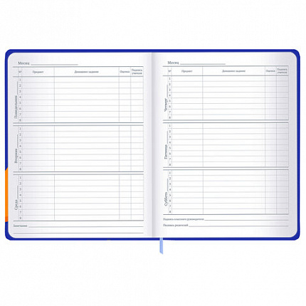 Дневник 1-11 класс 48 л., твердый, BRAUBERG, матовая ламинация, резинка, закладка-ляссе, с подсказом, "Гусь", 107237