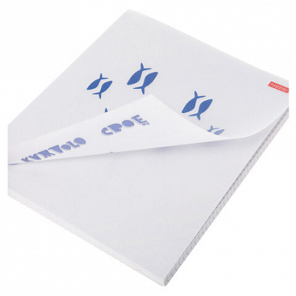 Тетрадь обложка пластик с печатью, А5, 96 л., скоба, клетка, HATBER, "Рыба моя" (микс в спайке), 090215, 96Т5В1пл