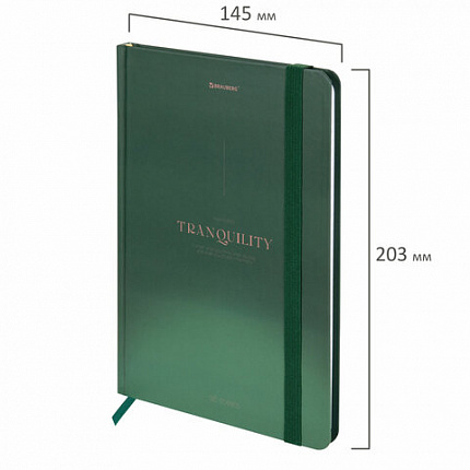 Блокнот с резинкой в клетку 96 л., А5 145х203 мм, твердая обложка, BRAUBERG, "Peaceful", 116326